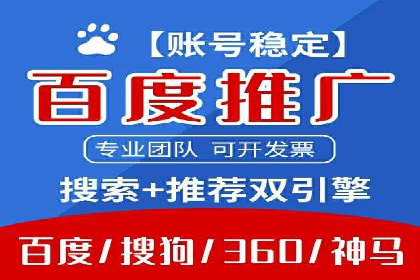 专业SEM代运营公司案例分析